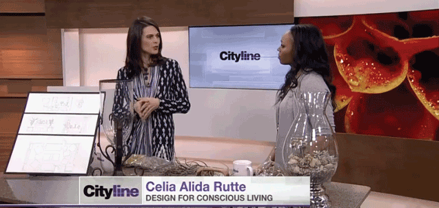 Celia Rutte on Citytv